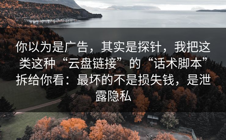 你以为是广告，其实是探针，我把这类这种“云盘链接”的“话术脚本”拆给你看：最坏的不是损失钱，是泄露隐私