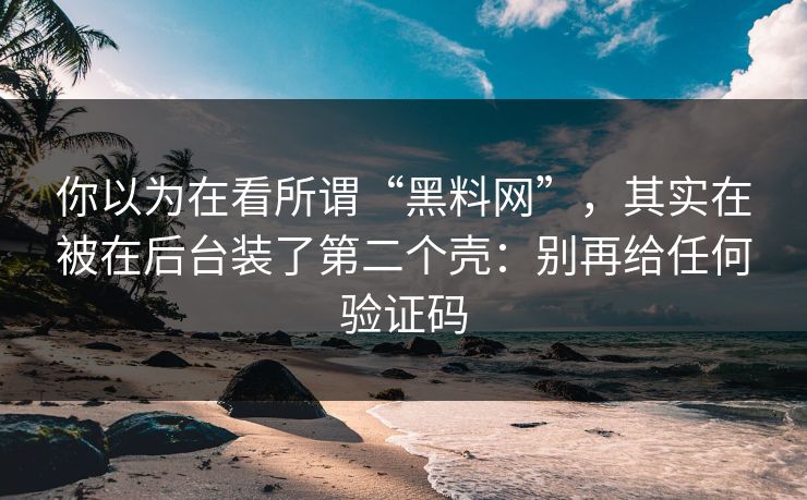 你以为在看所谓“黑料网”，其实在被在后台装了第二个壳：别再给任何验证码