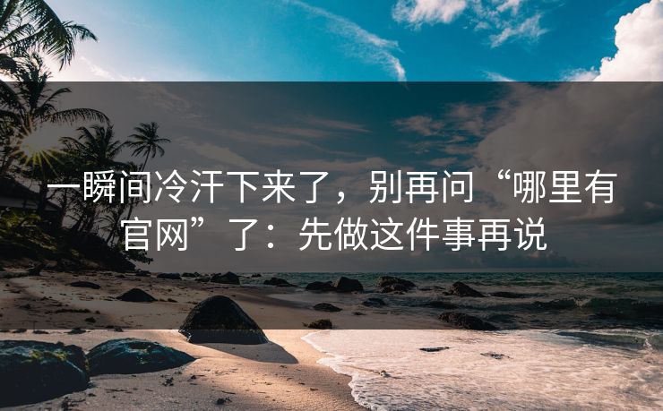 一瞬间冷汗下来了,别再问“哪里有官网”了:先做这件事再说 一瞬间冷汗下来了,别再问“哪里有官网”了:先做这件事再说