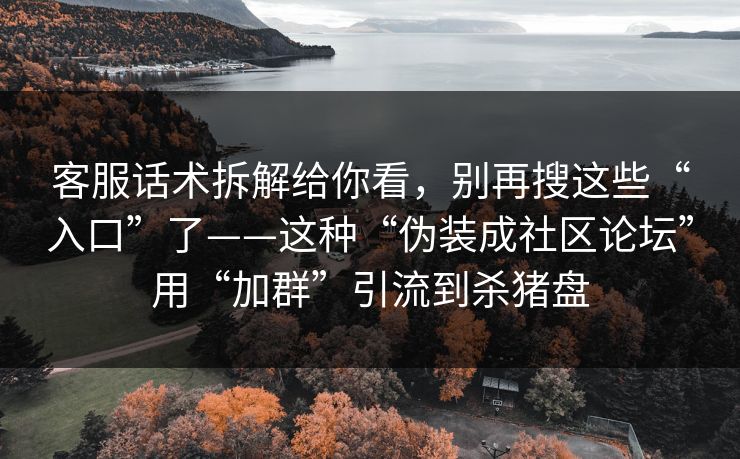 客服话术拆解给你看，别再搜这些“入口”了——这种“伪装成社区论坛”用“加群”引流到杀猪盘