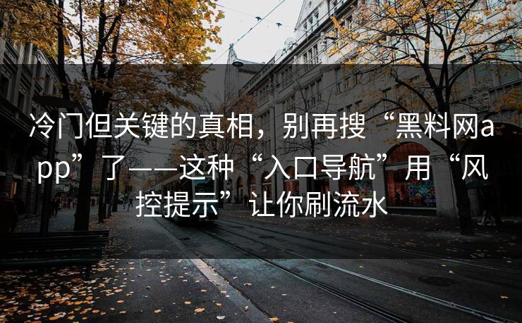 冷门但关键的真相，别再搜“黑料网app”了——这种“入口导航”用“风控提示”让你刷流水