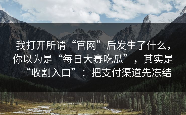 我打开所谓“官网”后发生了什么，你以为是“每日大赛吃瓜”，其实是“收割入口”：把支付渠道先冻结