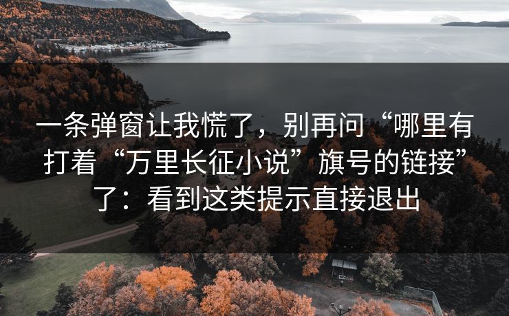 一条弹窗让我慌了，别再问“哪里有打着“万里长征小说”旗号的链接”了：看到这类提示直接退出