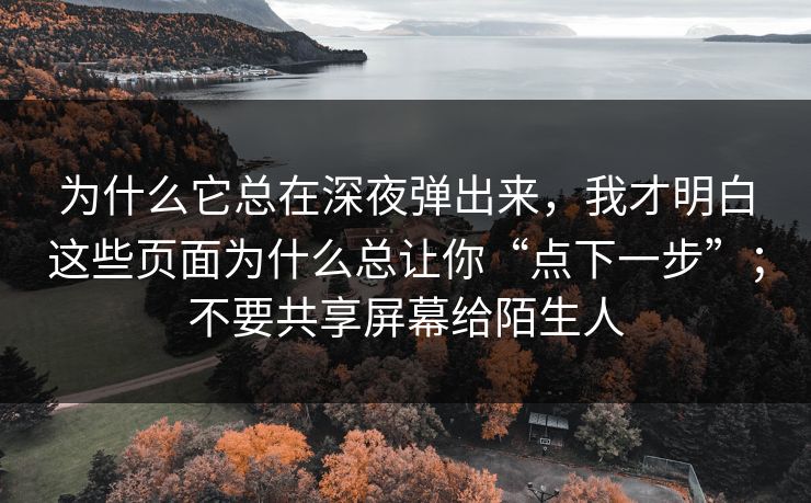 为什么它总在深夜弹出来，我才明白这些页面为什么总让你“点下一步”；不要共享屏幕给陌生人
